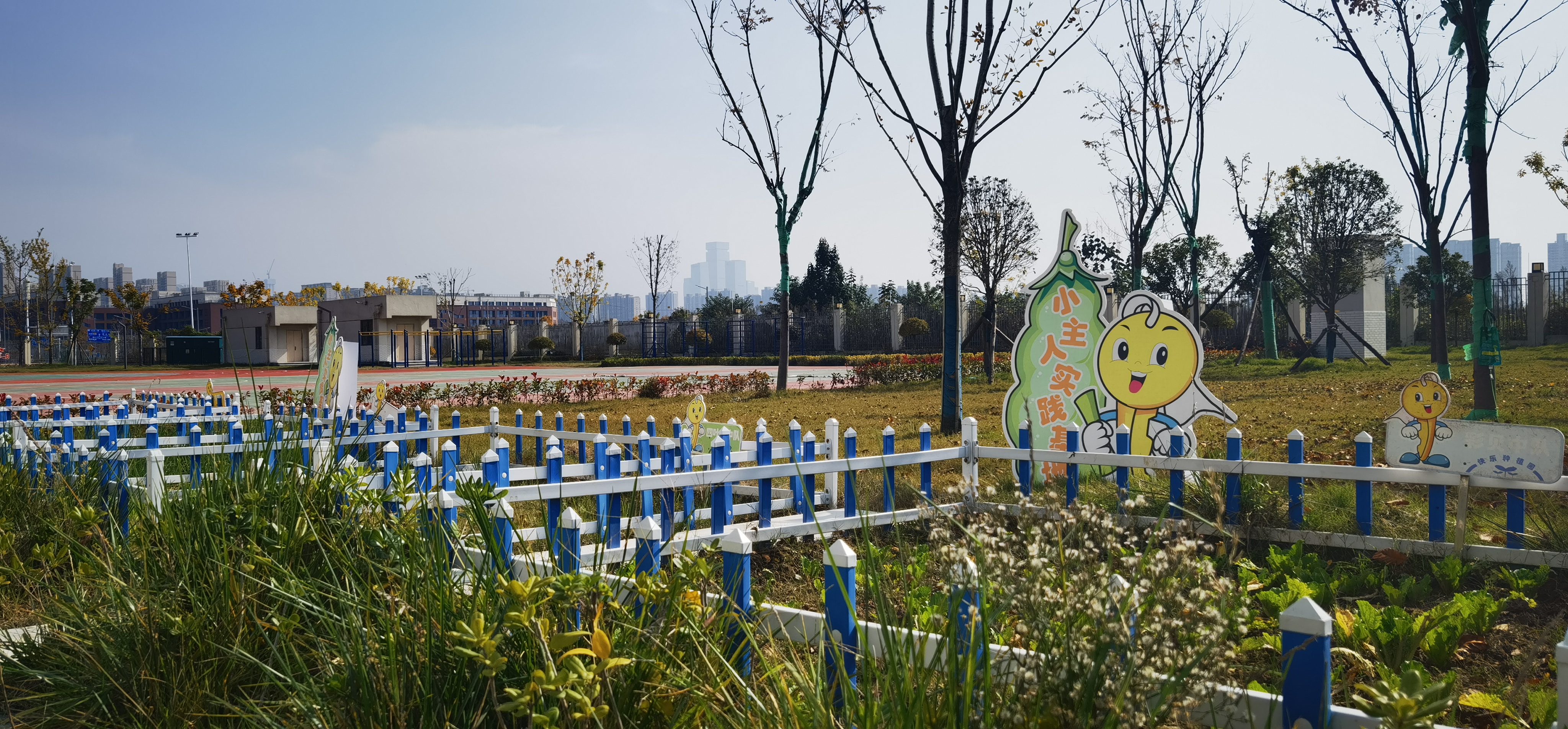 С����ʵ������